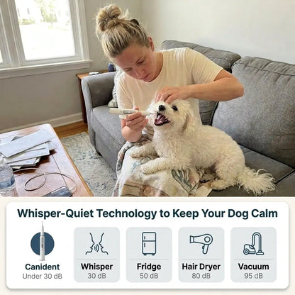 Canident Kit – Silent Ultrasonic Plaque & Tartar Remover For Dogs